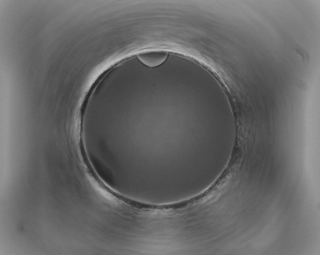 X0000113181519200909041332