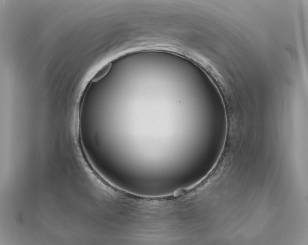 X0000113181520200909041332