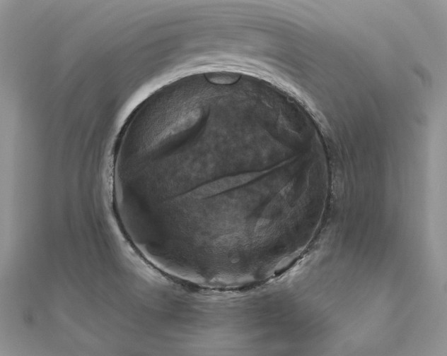 X0000113181522200909041332