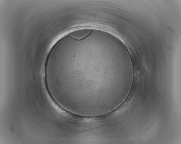 X0000113181523200909041332