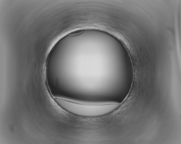 X0000113181524200909041332