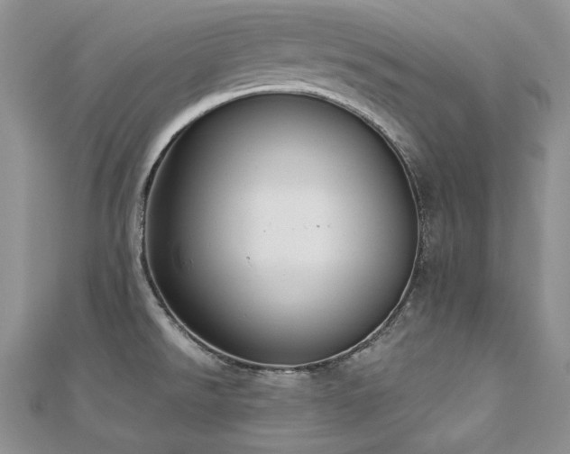 X0000113181526200909041332