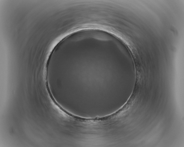 X0000113181527200909041332