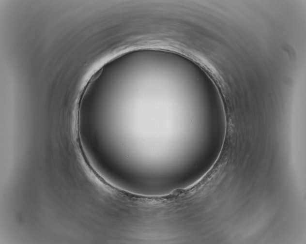 X0000113181528200909041332