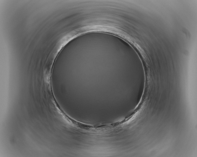 X0000113181529200909041332