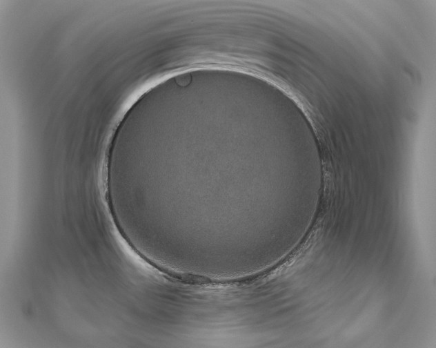 X0000113181531200909041332