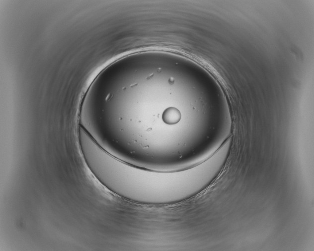 X0000113181532200909041332