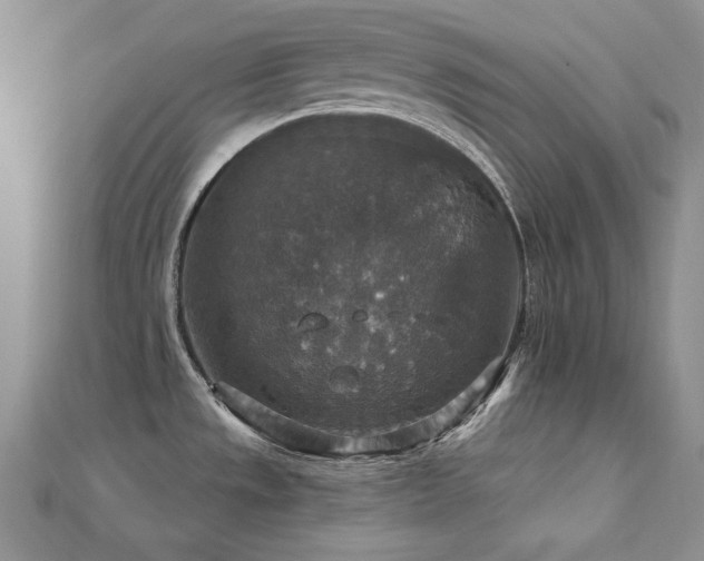 X0000113181533200909041332