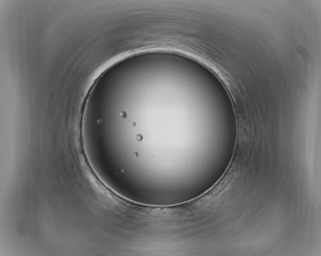 X0000113181534200909041333
