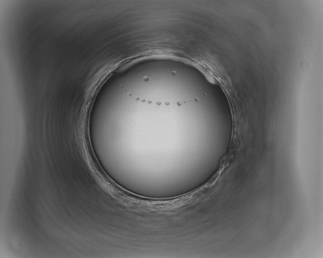 X0000113180001200909111104