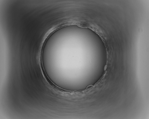 X0000113180003200909111104