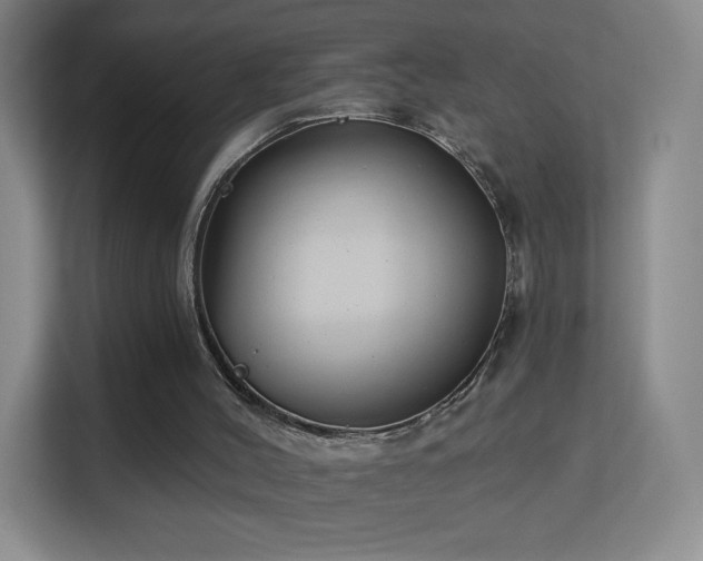 X0000113180004200909111104