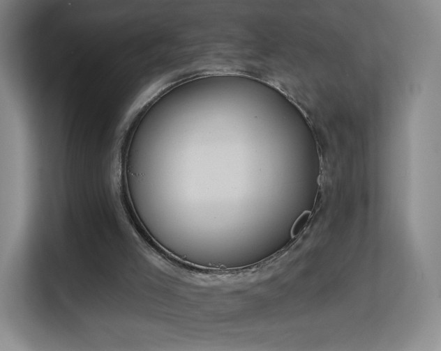 X0000113180005200909111104