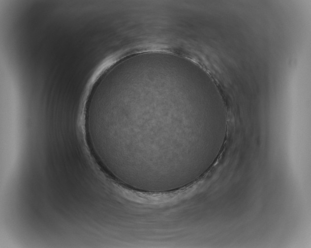 X0000113180006200909111104