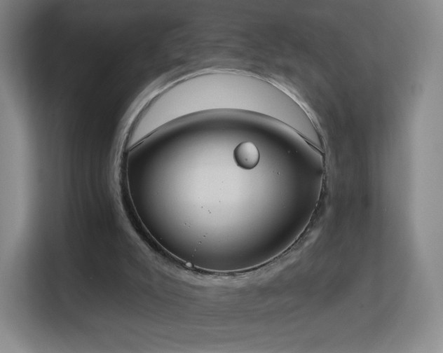 X0000113180007200909111104