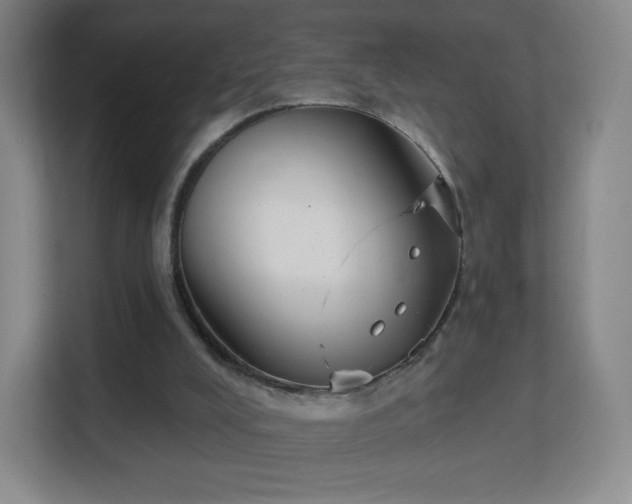 X0000113180008200909111104