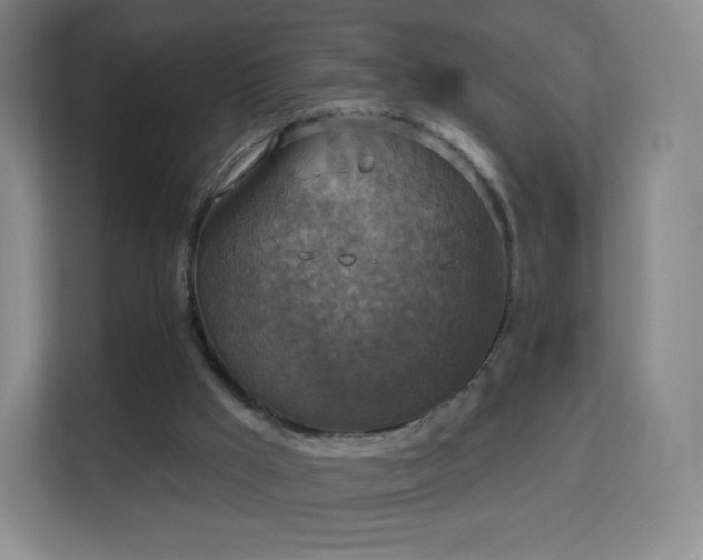 X0000113180009200909111104