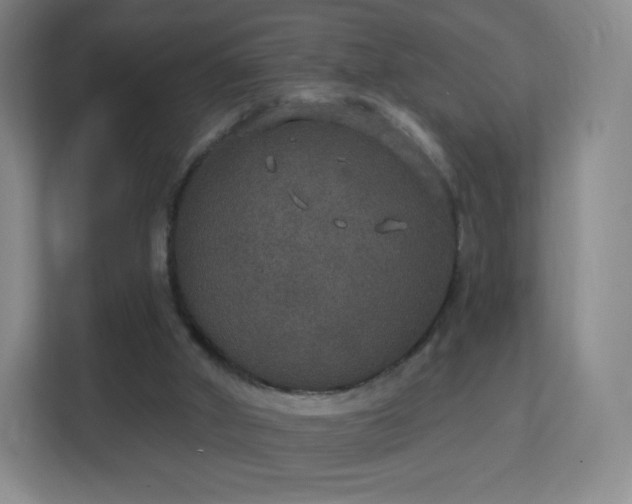 X0000113180010200909111104