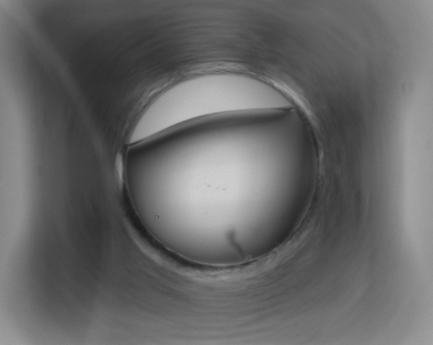 X0000113180013200909111104