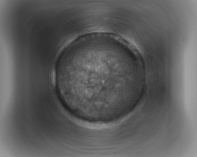 X0000113180014200909111104