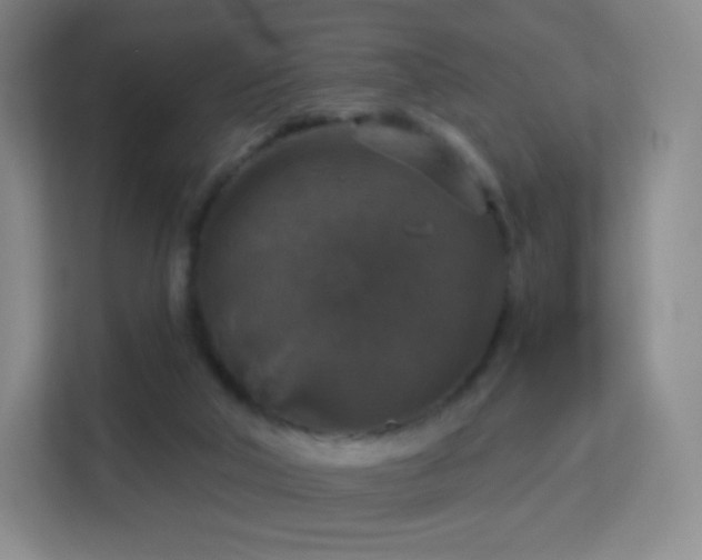 X0000113180018200909111104