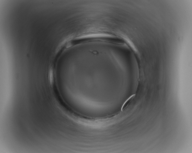 X0000113180019200909111104