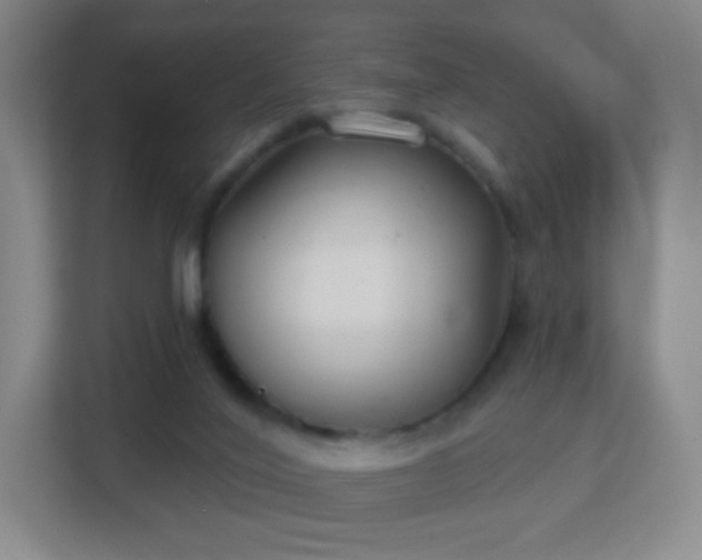 X0000113180020200909111103