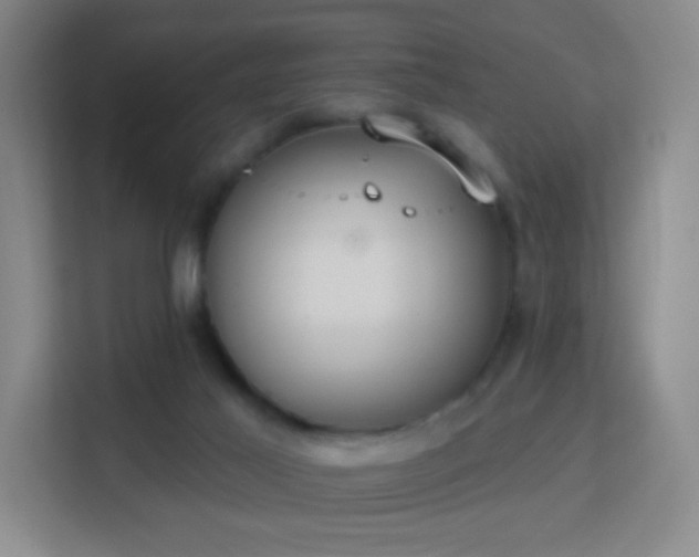 X0000113180021200909111103