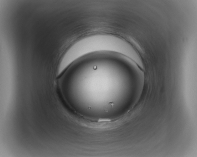 X0000113180023200909111103