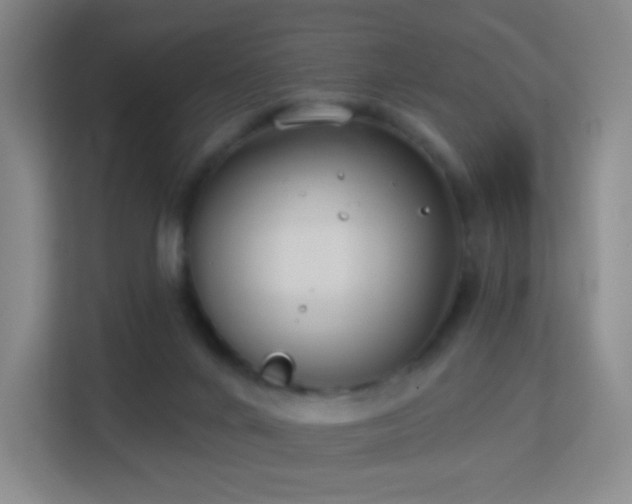 X0000113180024200909111103