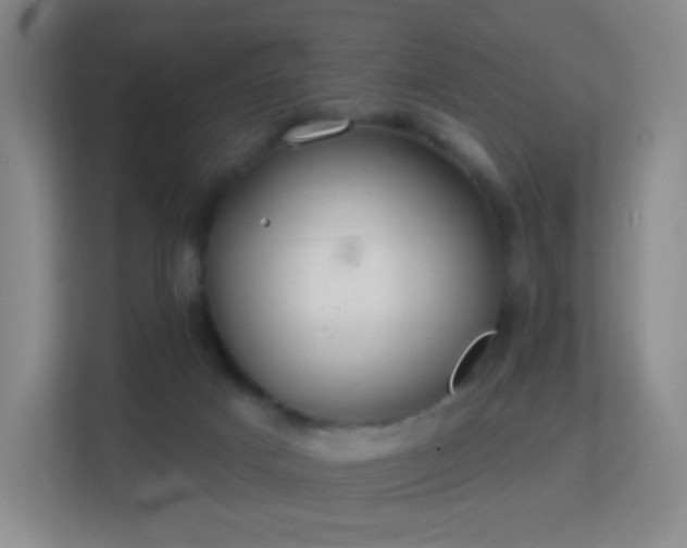 X0000113180025200909111103