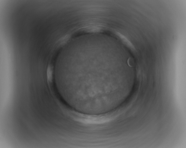 X0000113180026200909111103