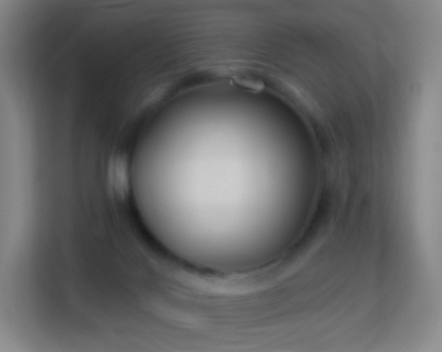 X0000113180028200909111103