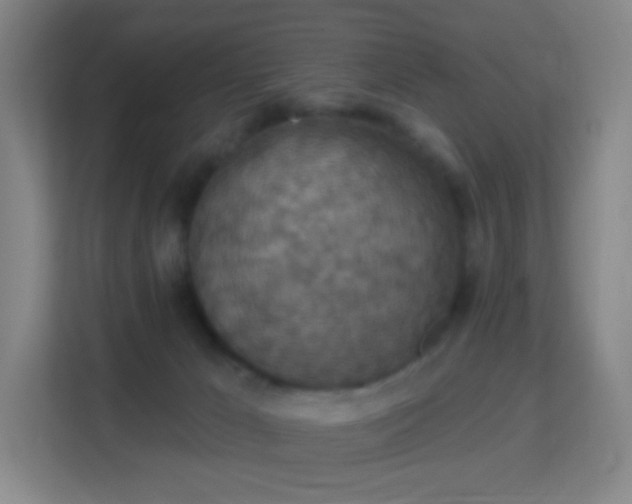 X0000113180029200909111103