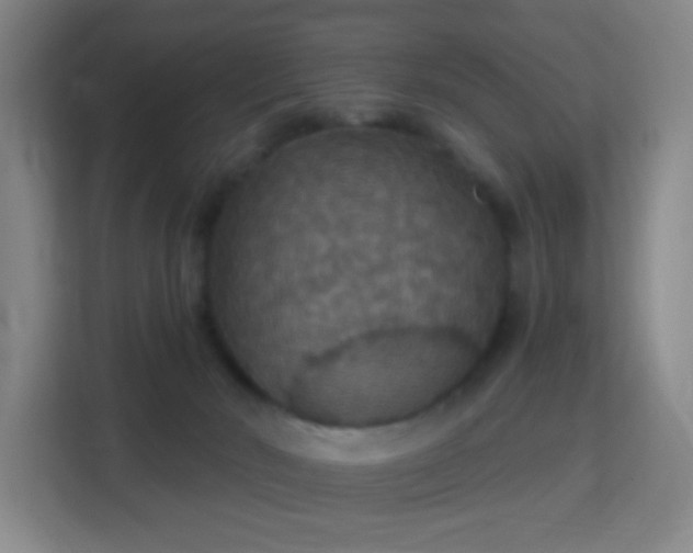 X0000113180030200909111103