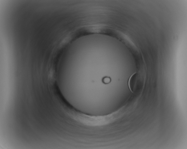 X0000113180031200909111103