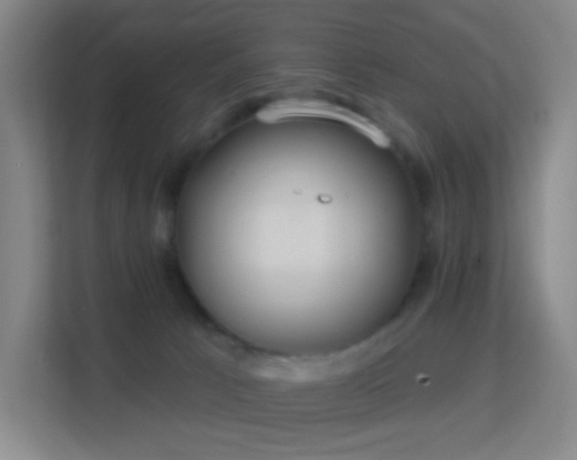 X0000113180033200909111103