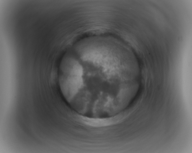 X0000113180034200909111103