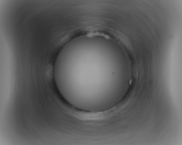 X0000113180036200909111103