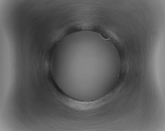 X0000113180039200909111103