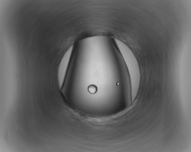 X0000113180041200909111103