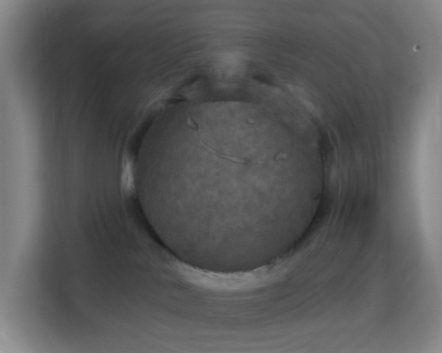 X0000113180042200909111103