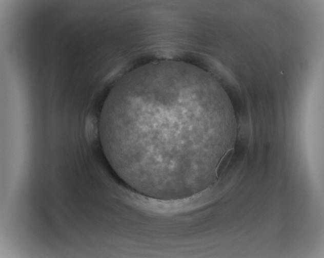 X0000113180043200909111103