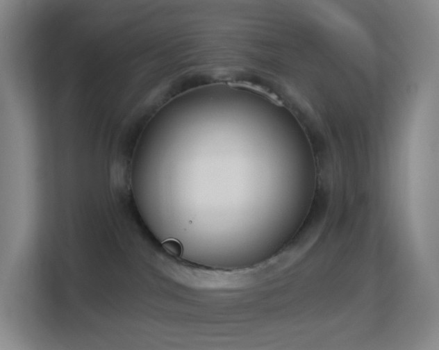 X0000113180044200909111103