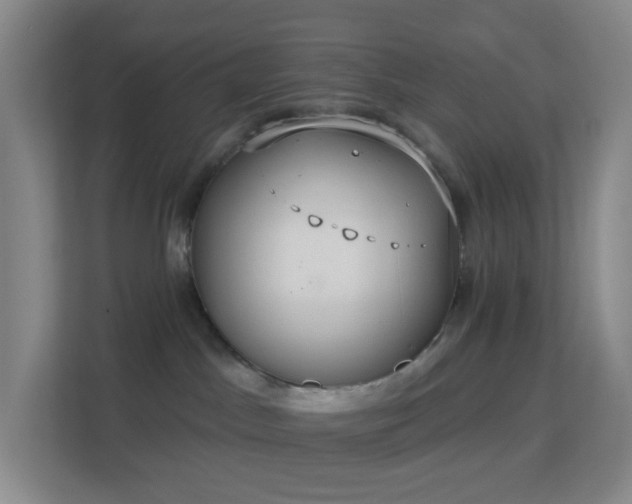 X0000113180045200909111103