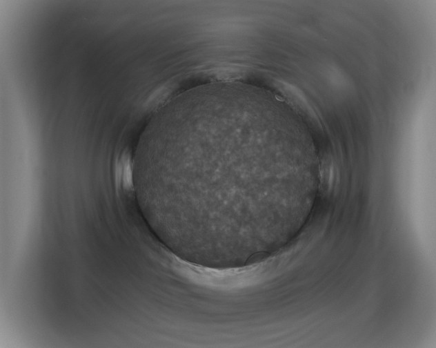 X0000113180046200909111103