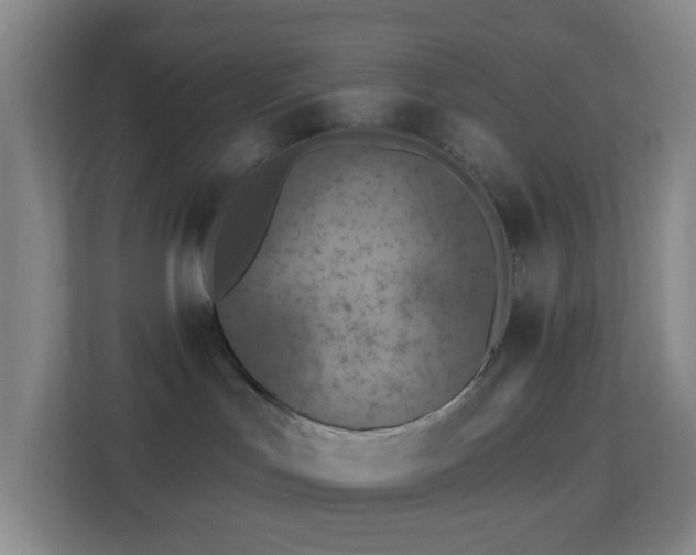 X0000113180047200909111103