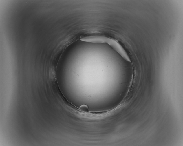 X0000113180048200909111103