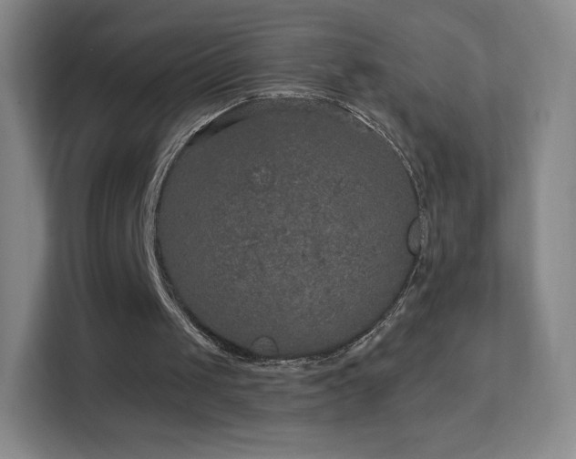 X0000113180049200909111103