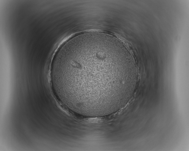 X0000113180050200909111103